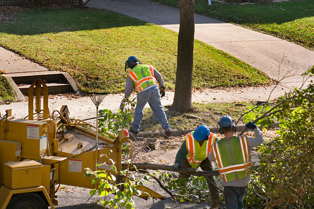 Lawn Renovation and Restoration in Uintah, UT